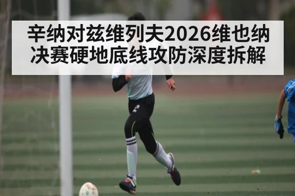 辛纳对兹维列夫2026维也纳决赛硬地底线攻防深度拆解